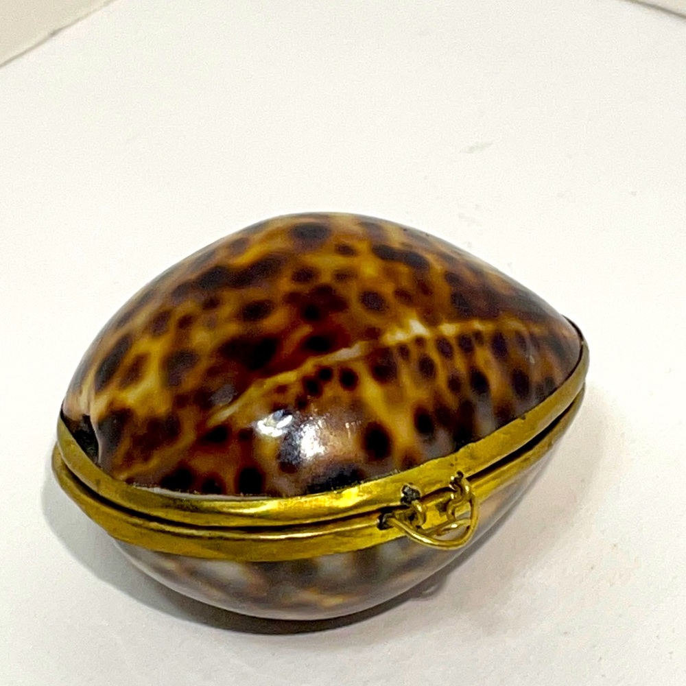 Vintage Tiger Cowry Hinged Sea Shell Trinket/Jewelry/… - Gem